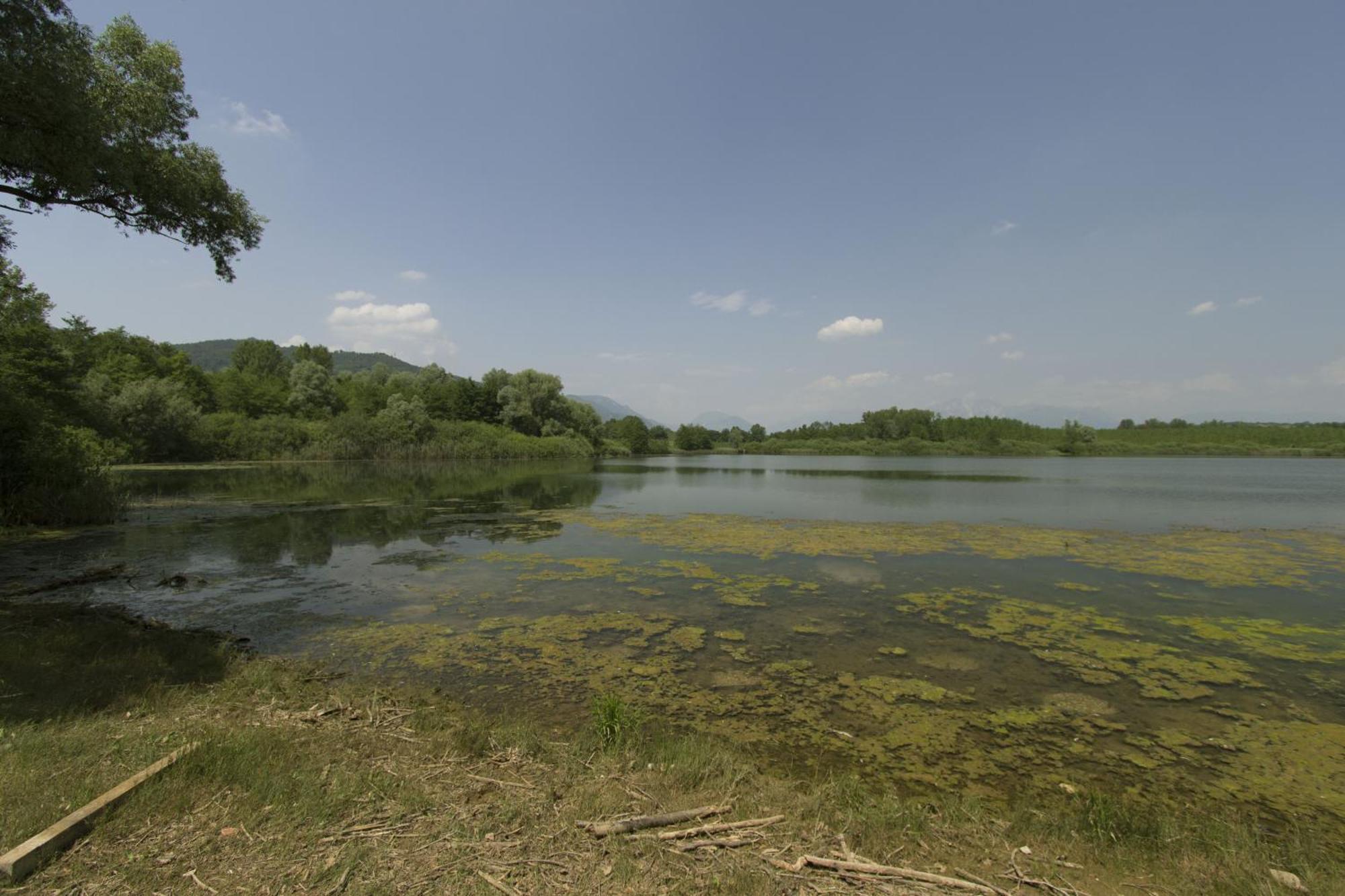 B&B Marina Сан-Данієле-дель-Фріулі Екстер'єр фото